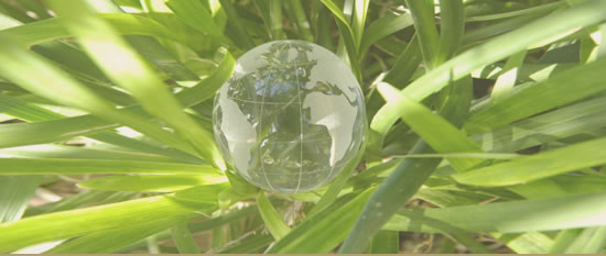 Titelbild Projektmanagement