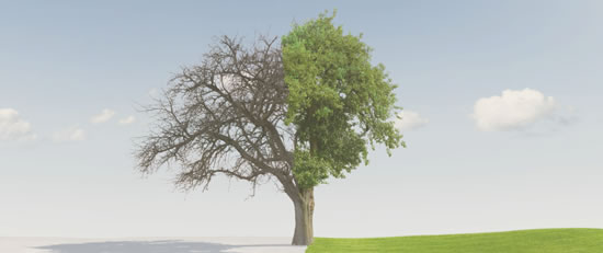 Titelbild Qualitätsmanagement