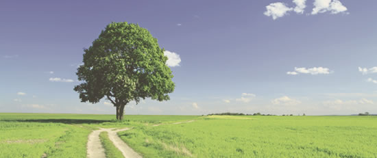 Titelbild Sonstige Leistungen