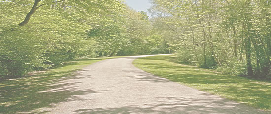 Titelbild Startseite