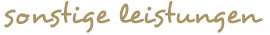 Sonstige Leistungen